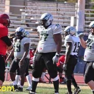 Meet your Posher, T-bo